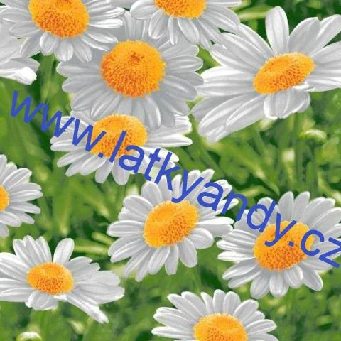 Vaflovina / Utěrkovina Kopretiny