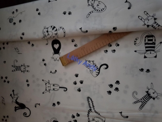 Plátno Kočky na bílé