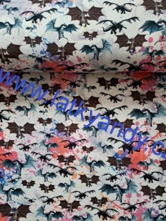 Teplákovina exklusive Dragons