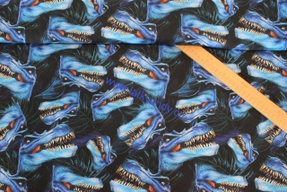 Teplákovina Dino Rex